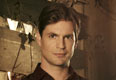 Gale Harold