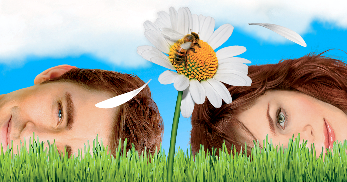 Pushing Daisies Video Watch Free On