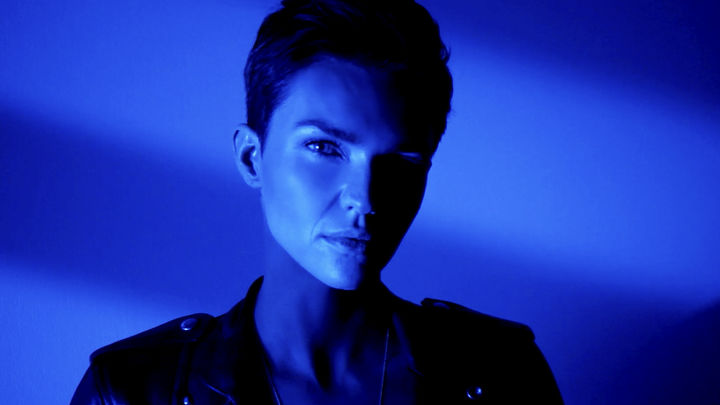 Watch More Video - The CW Dog Honors 2019 | Stream Free Watch More Video - The CW Dog Honors 2019 | Stream Free