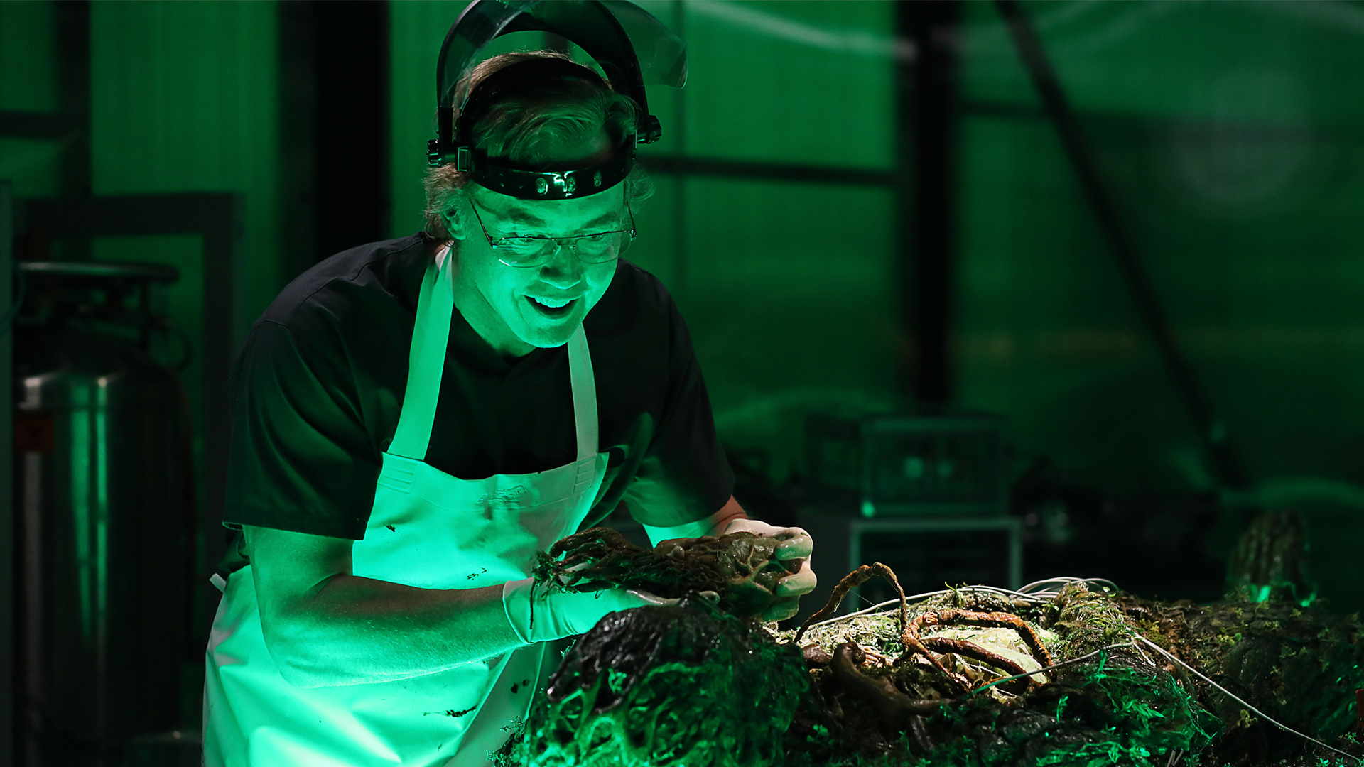 Swamp Thing | Series on The CW | Official Site