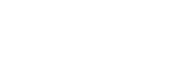 WILD CARDS