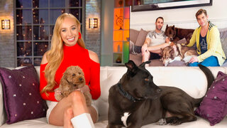 World's Funniest Animals: Valentine's Day: World's Funniest Animals: Valentine's Day